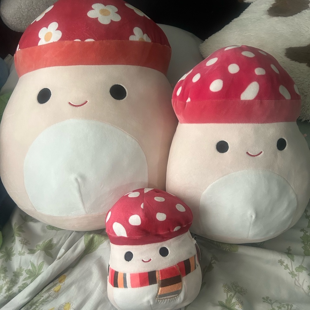 squishmallow malcolms